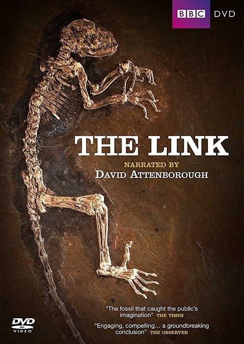 مشاهدة فيلم Uncovering Our Earliest Ancestor: The Link 2009 مترجم hd
اون لاين