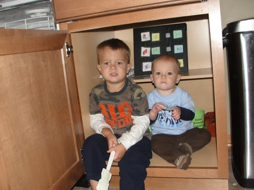 miranda20110926 by gazoogle