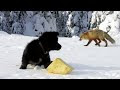 Сахалин/Sakhalin