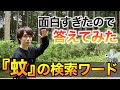 [最も人気のある！] 面白 検索 ワード 300558