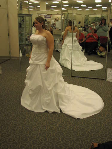 Ambers Wedding Dress - 2-13-11 047
