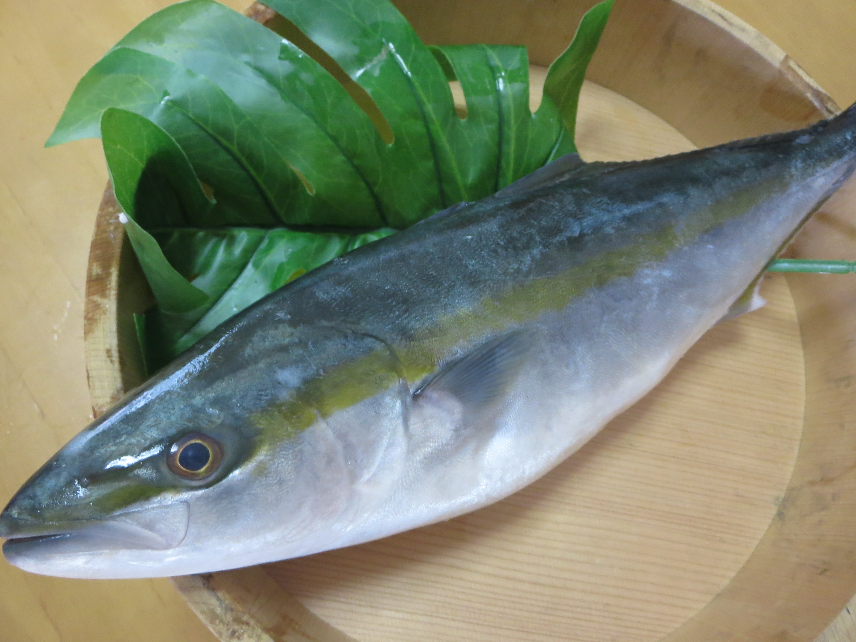 漁師さん直送市場 家庭用 鮮魚通販 漁師さんが今朝獲れた鮮魚を産地直送