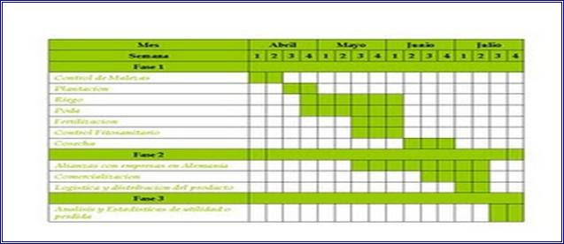 Planta de proceso piloto productos del mar (página 3 