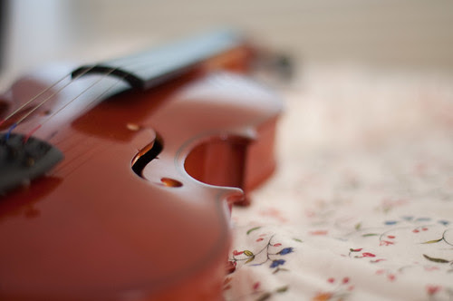 violín