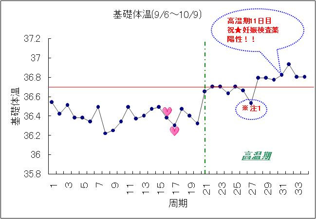 2人目 妊娠しなかった時 の基礎体温 測定結果 妊娠したい 私はこれで妊娠しました