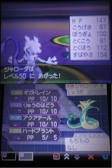 ポケモン ガブリアス育成論 メガガブリアス育成論