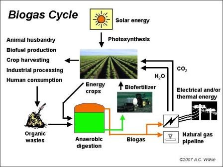 Biogas Cycle in China Source