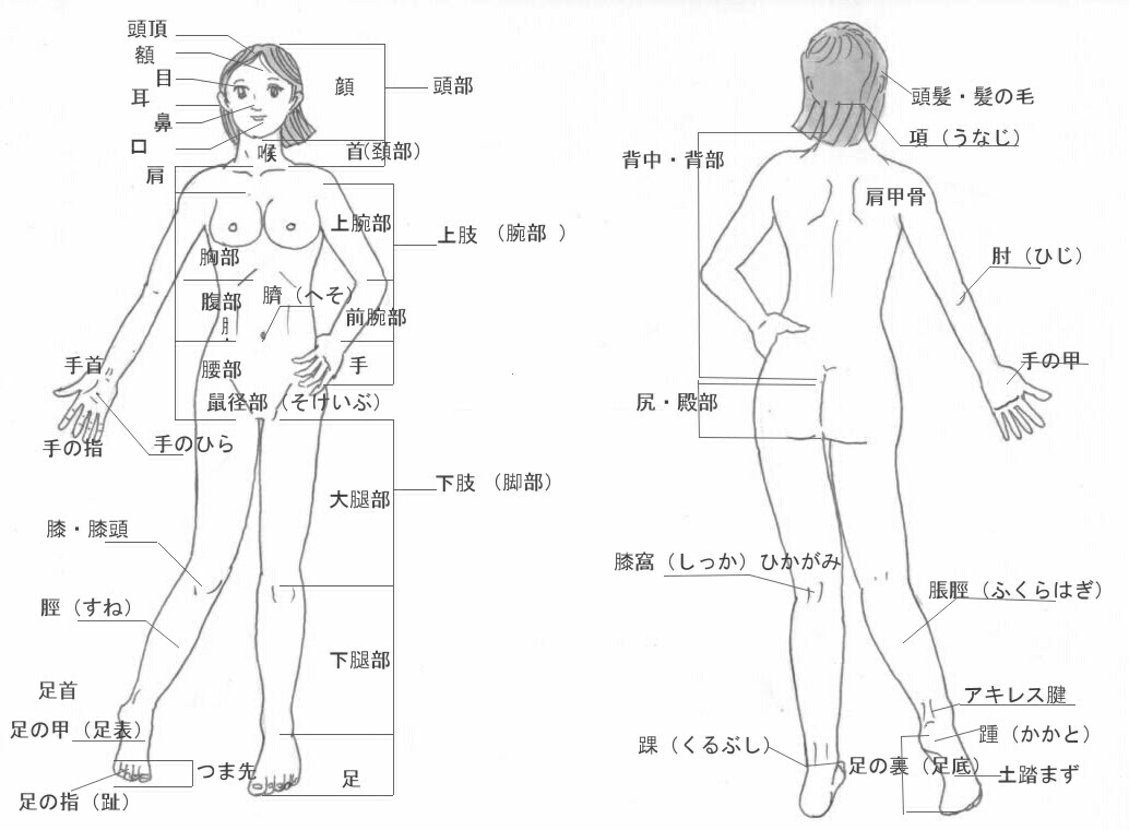 体の名前 心身爽快ヨガノート 楽天ブログ