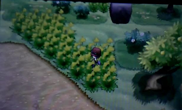 ポケモンxy イーブイ出現場所 入手方法 ポケモン剣盾 ソードシールド 攻略 最新情報 Pokemon Times
