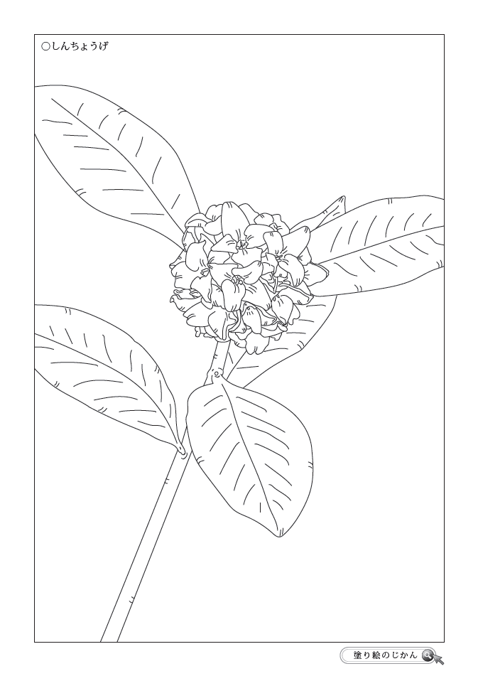 4月の花ぬりえ 塗り絵のじかん