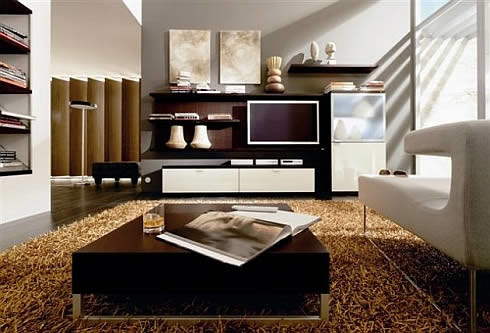 Living Room Interior Design