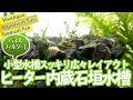 コンプリート！ 水槽 ヒーター を 隠す 方法 238406-水槽 ヒーター を 隠す 方法