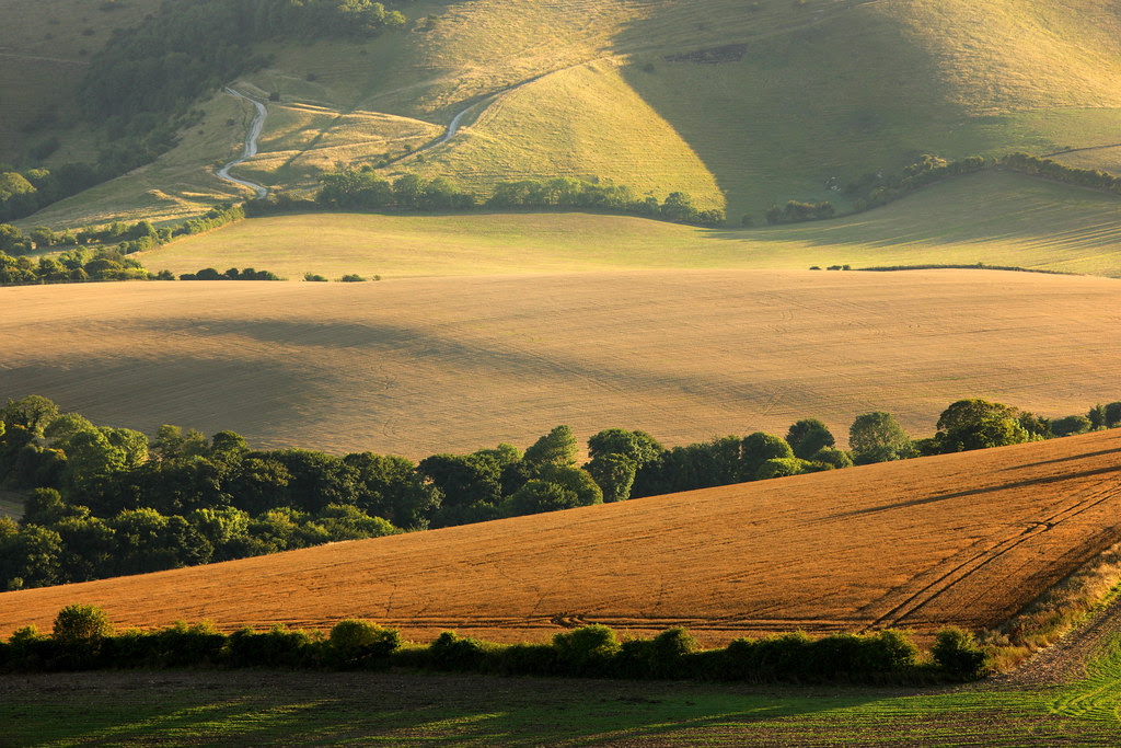 Evening, Kingston Ridge
