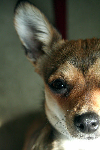 "hey, hey can I help you take those photos?'