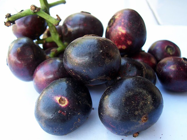 Gowok Explore Indra Riawan s photos on Flickr Indra Gowok Explore Indra Riawan s photos on Flickr Indra