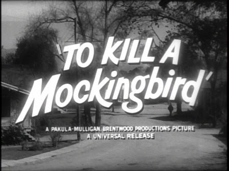Activity 3 To Kill A Mockingbird