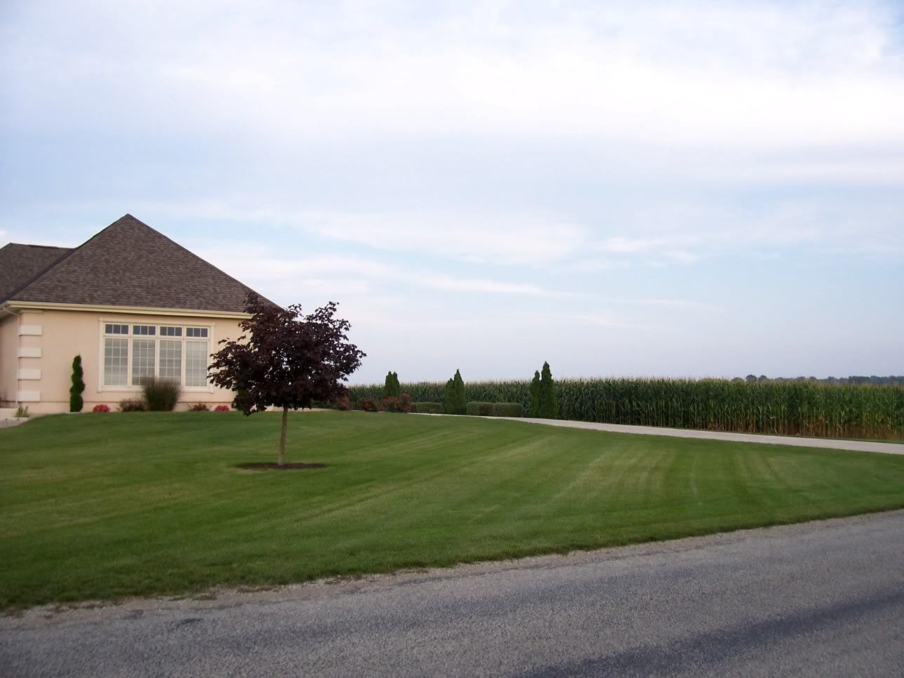 Mansion in the Corn