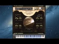 Cinesamples Dulcimer and Zither KONTAKT LIBRARY