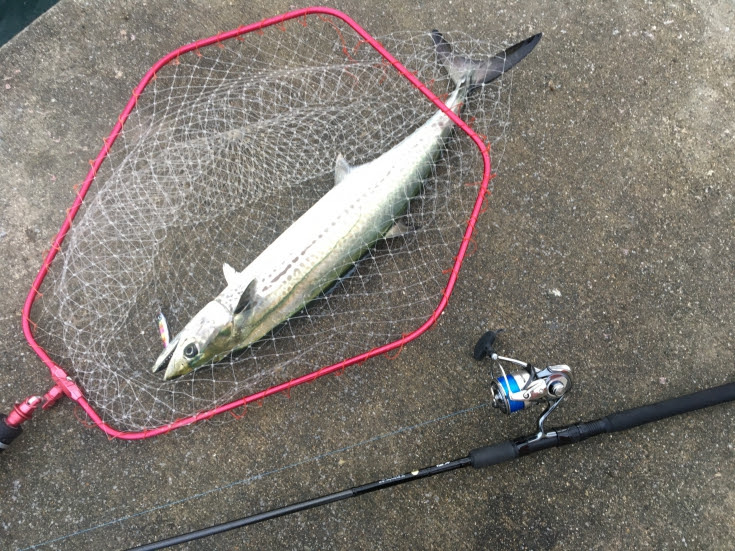 マスクドスピンを使ったライトショアジギング 株式会社オーナーばり 海釣り仕掛け 投げ釣り仕掛け 釣り針 淡水仕掛けなど 釣具全般商品を製造 販売