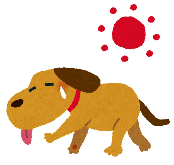 愛犬の元気がない 春の体調不良を吹き飛ばせ 犬の総合情報サイト ペットスマイルニュースforワンちゃん