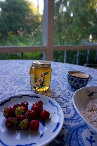 DSC03469 - Version 2