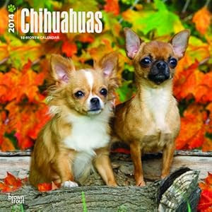 Chihuahuas - 2014 Calendar