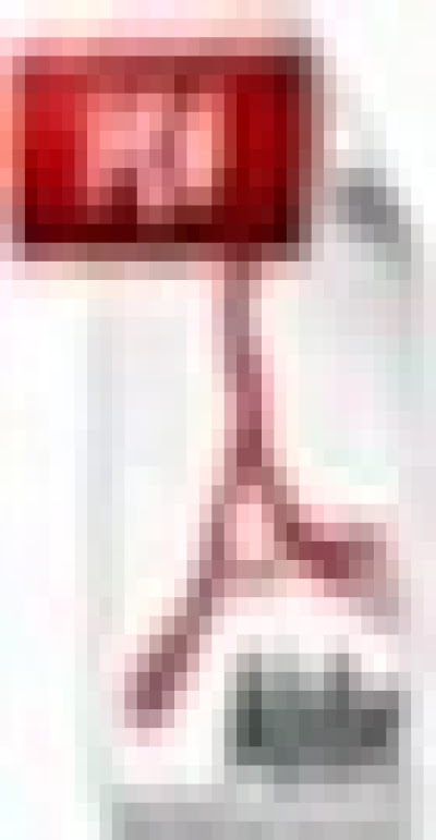  Adobe 