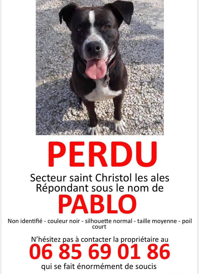 Perdus