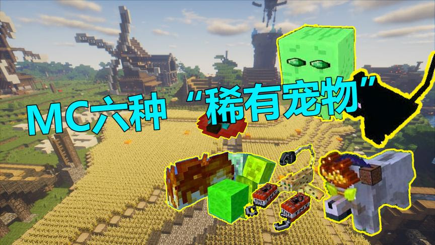 Mc宠物六少视频 西瓜视频搜索