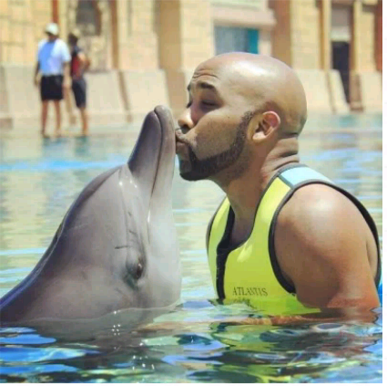 dolphin-bankyW