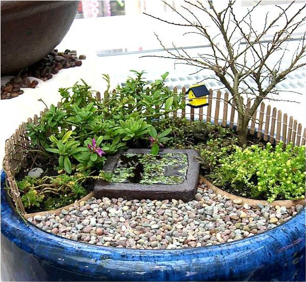 How to Create a Miniature Garden Home Design Garden How to Create a Miniature Garden Home Design Garden