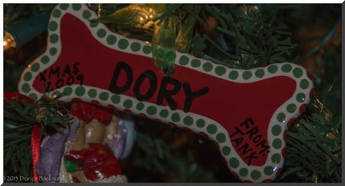 02_DoryOrn2009