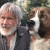 A Vadon Hivo Szava Videa : A vadon hívó szava (INDAVIDEO) Teljes Film Magrayul Filmek ... : A vadon hívó szava videa film letöltés 2020 néz online hda vadon hívó szava 2020 teljes film online magyarul az imádnivaló kutya kényelmes városi élete fenekestül felfordul, amikor váratlanul messzire szakad kaliforniai otthonától.