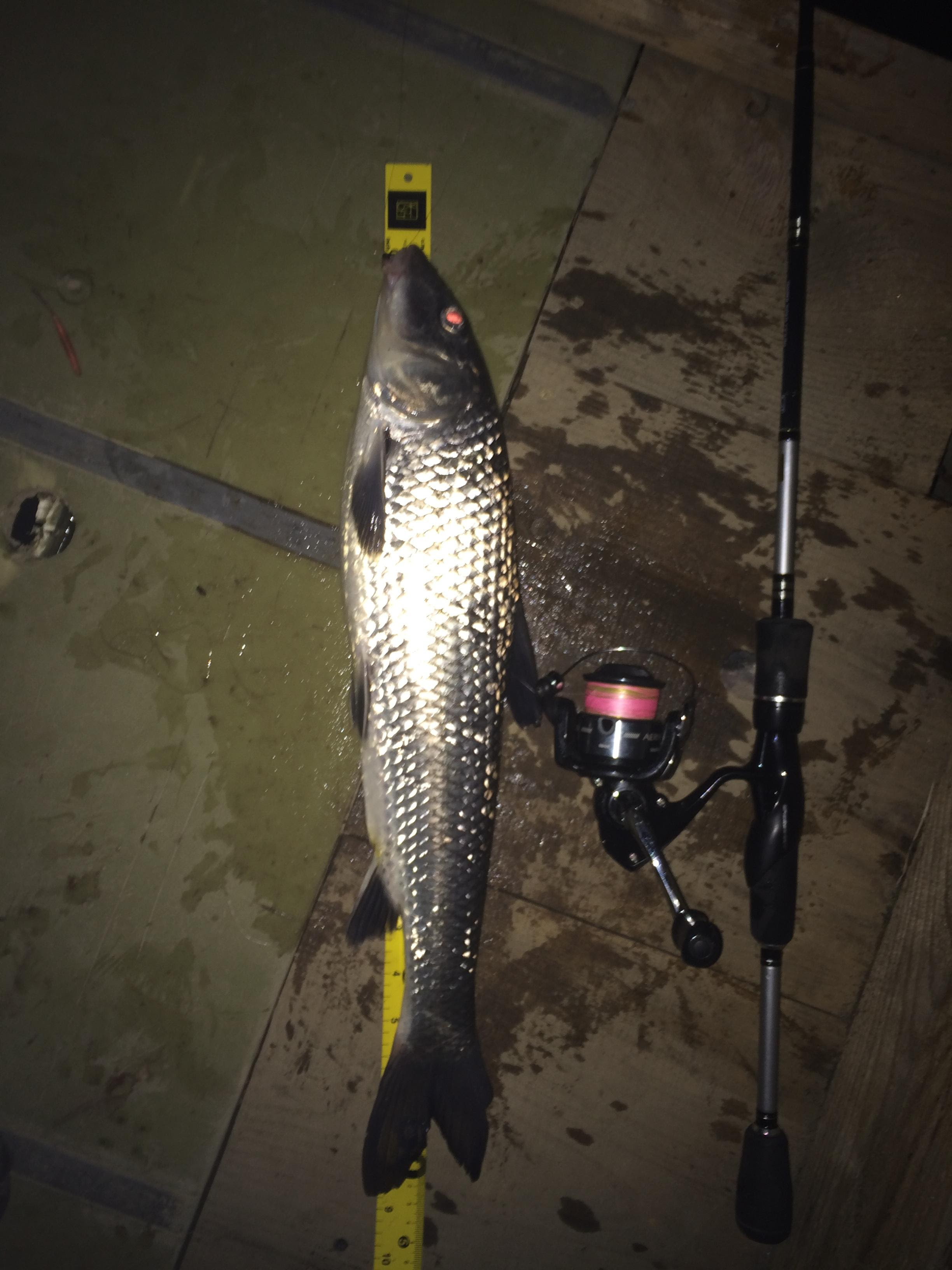 100均 ダイソーで買う釣り道具50 百均 無断転載禁止 C 2ch Net