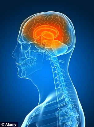 Despite scans showing his brain was not functioning, Dr Alexander had a vivid experience