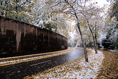Memory of Munich