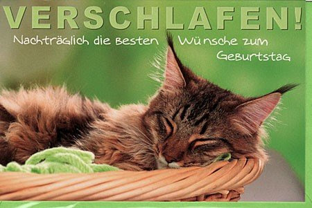 Geburtstagsgrusse Nachtraglich Englisch Dictcc Samarasuzilusi Net