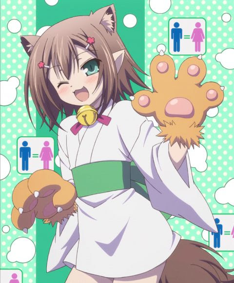 タグ 木下秀吉 まこちゃん ねっと