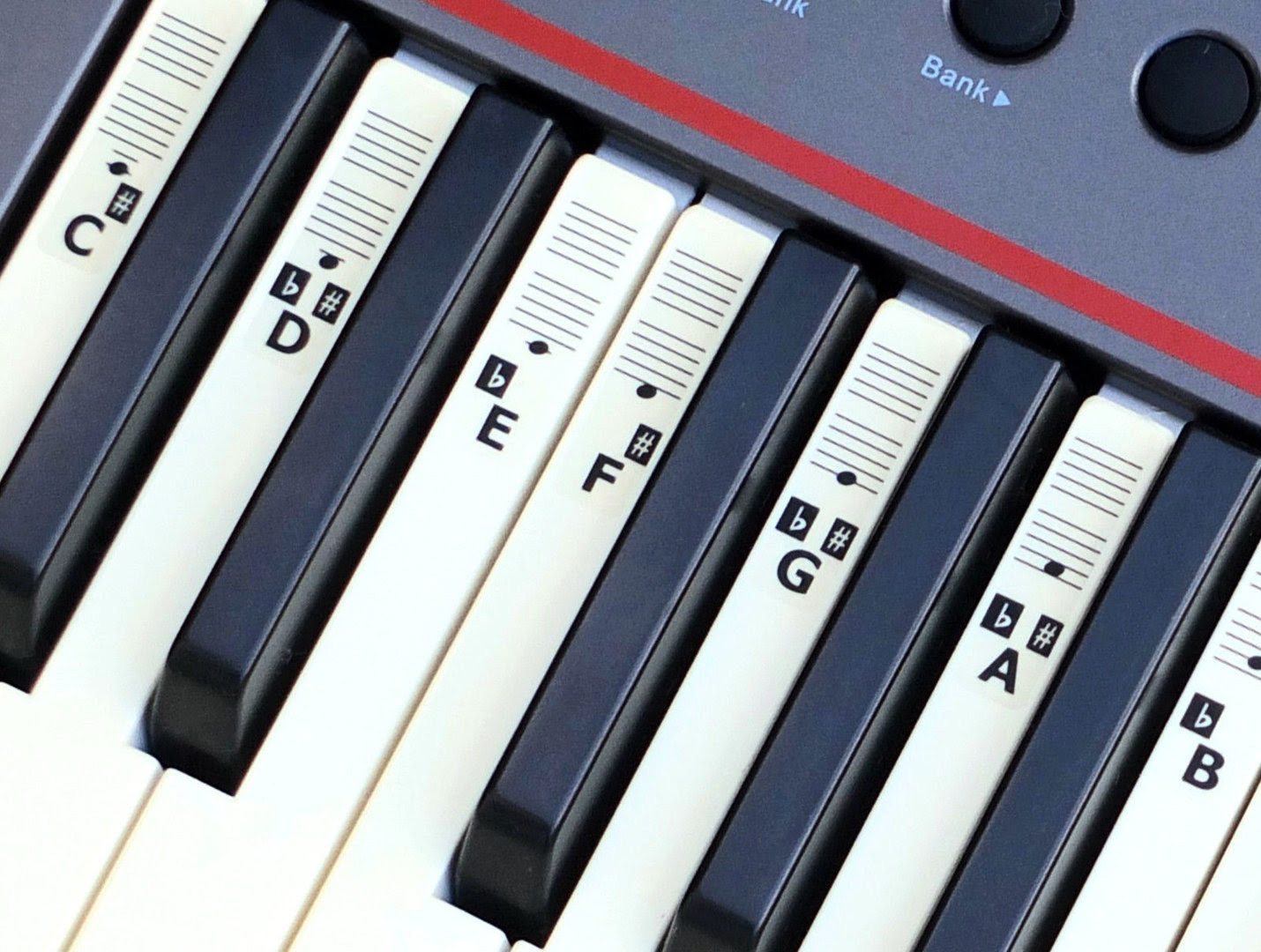 KEYNOTES Piano Stickers for 49, 54 or 61-KEY Music Keyboard ...