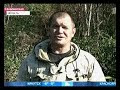 Video Medvedei na Sahaline nakormyat egerya
