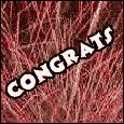 A congratulations card for one and all.