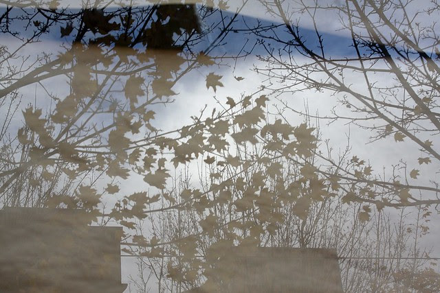 reflected, old town