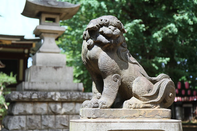 鎮座10年 新宿 諏訪神社にて撮影 カッコいい狛犬の笑顔に魅了されました Rocketboy Digital