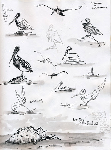 July 2013: Point Lobos