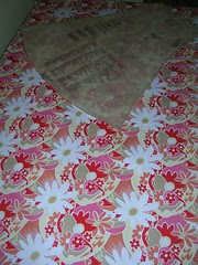skirt fabric