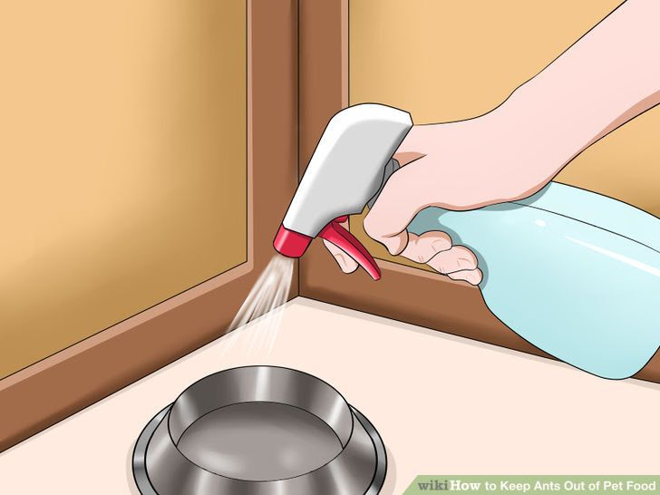 Keep Ants Out of Pet Food Step 4 Version 3.jpg