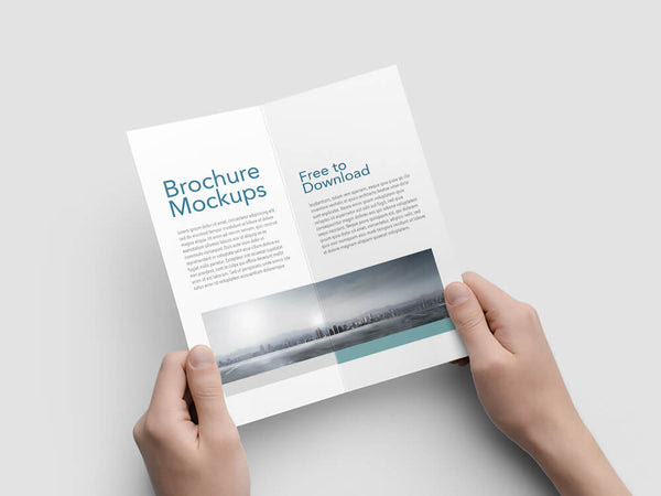 Half Fold Vertical Brochure Mockups Mockup Hunt