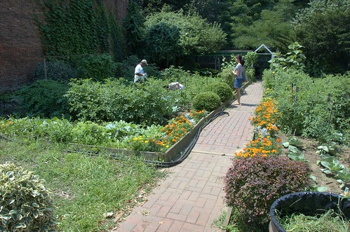 Classon FulGate Block Association Community Garden
