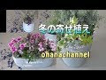 画像をダウンロード 植木鉢 プランター センス の いい 寄せ 植え 558575