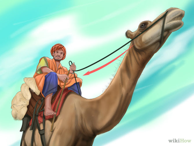 Care for a Camel Step 15 Version 2.jpg